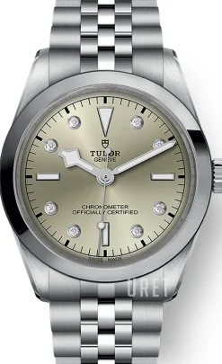 Black Bay 36 Champagnefärgad/Stål Ø36 mm