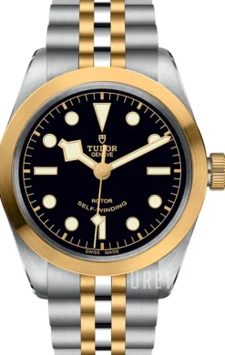 Black Bay Svart/Gulguldtonat stål Ø36 mm