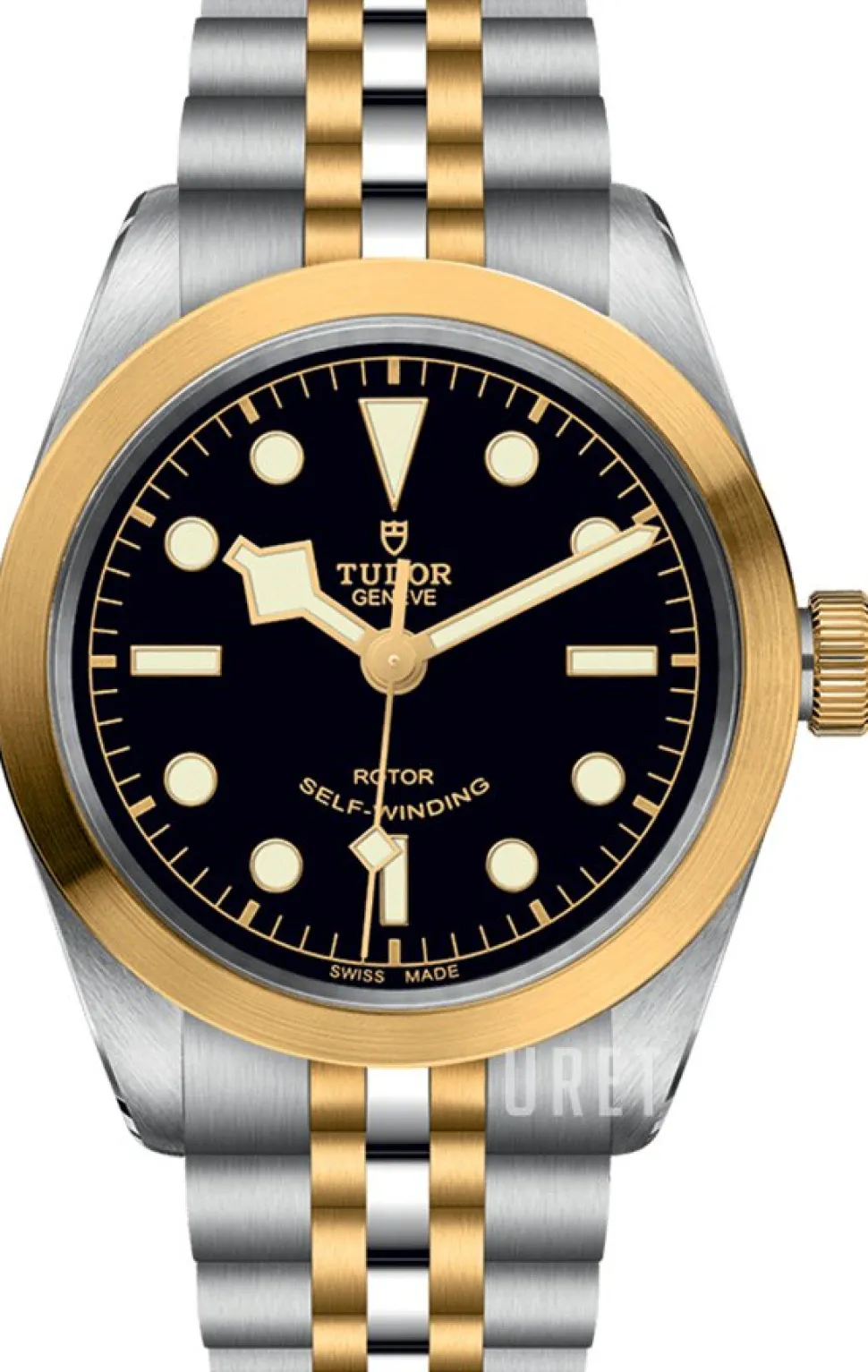 Black Bay Svart/Gulguldtonat stål Ø36 mm