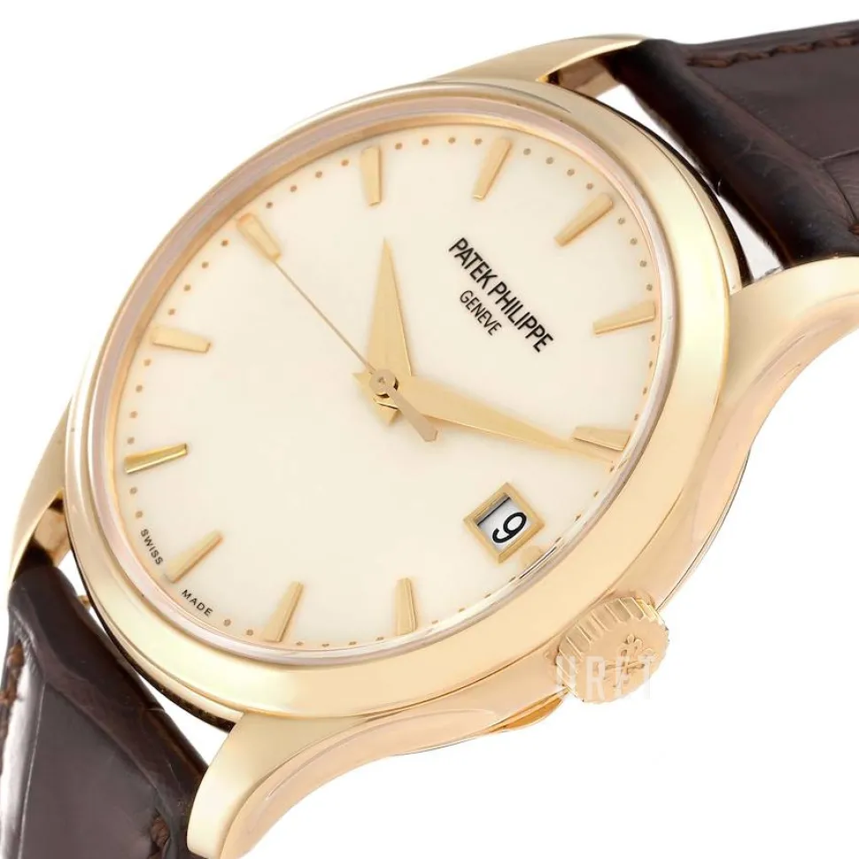 Calatrava Champagnefärgad/Läder Ø39 mm