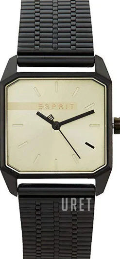 Champagnefärgad/Stål