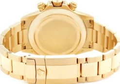 Daytona Vit/18 karat gult guld Ø40 mm