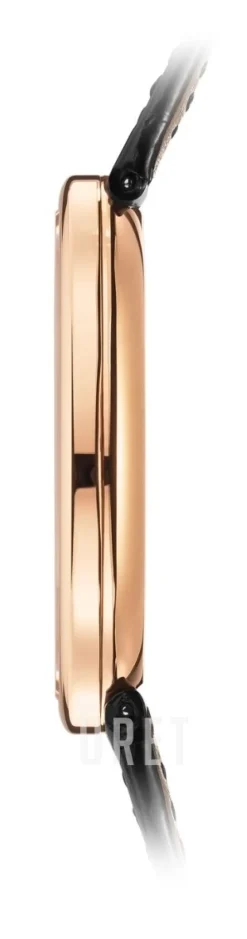 Golden Ellipse Svart/Läder