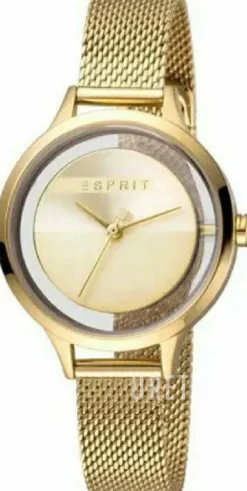 Guld/Gulguldtonat stål Ø34 mm