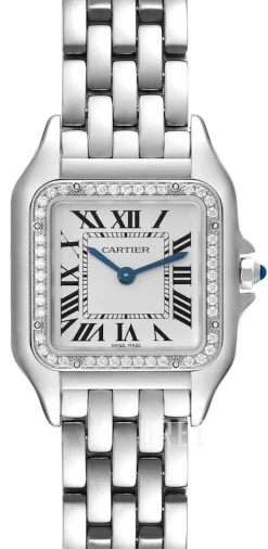 Panthere De Silverfärgad/Stål