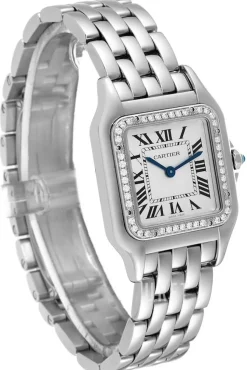 Panthere De Silverfärgad/Stål