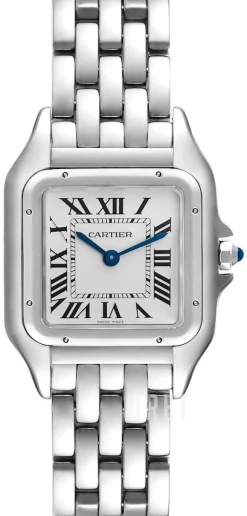 Panthere De Silverfärgad/Stål