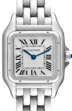 Panthere De Silverfärgad/Stål