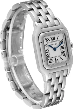 Panthere De Silverfärgad/Stål