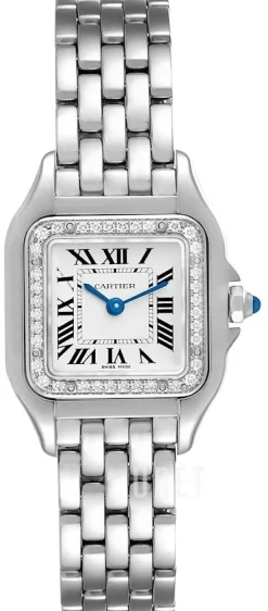 Panthere De Silverfärgad/Stål