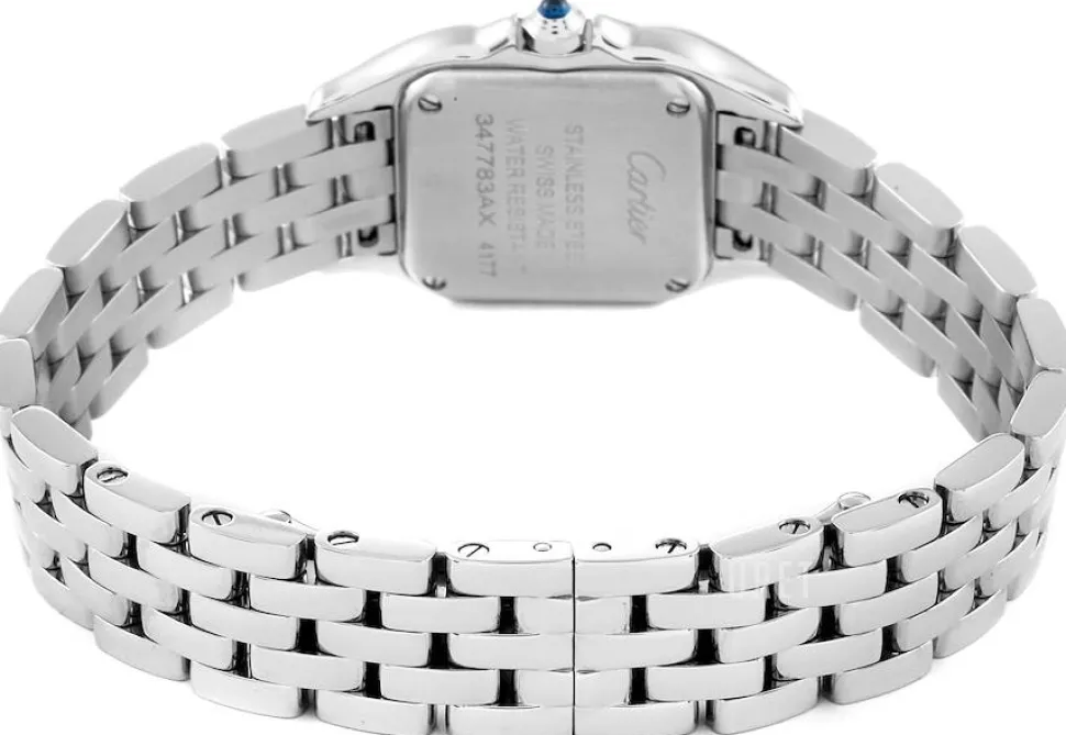 Panthere De Silverfärgad/Stål