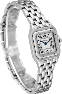 Panthere De Silverfärgad/Stål