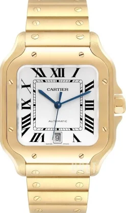 Santos De Silverfärgad/18 karat gult guld