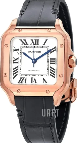 Santos De Silverfärgad/Läder