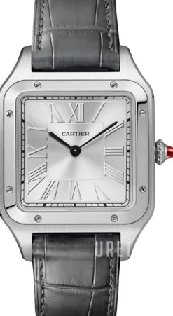 Santos Dumont Silverfärgad/Läder