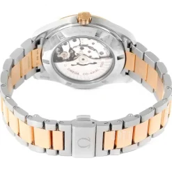 Seamaster Aqua Terra 150m Master Co-Axial 41.5mm Silverfärgad/Stål Ø41.5 mm