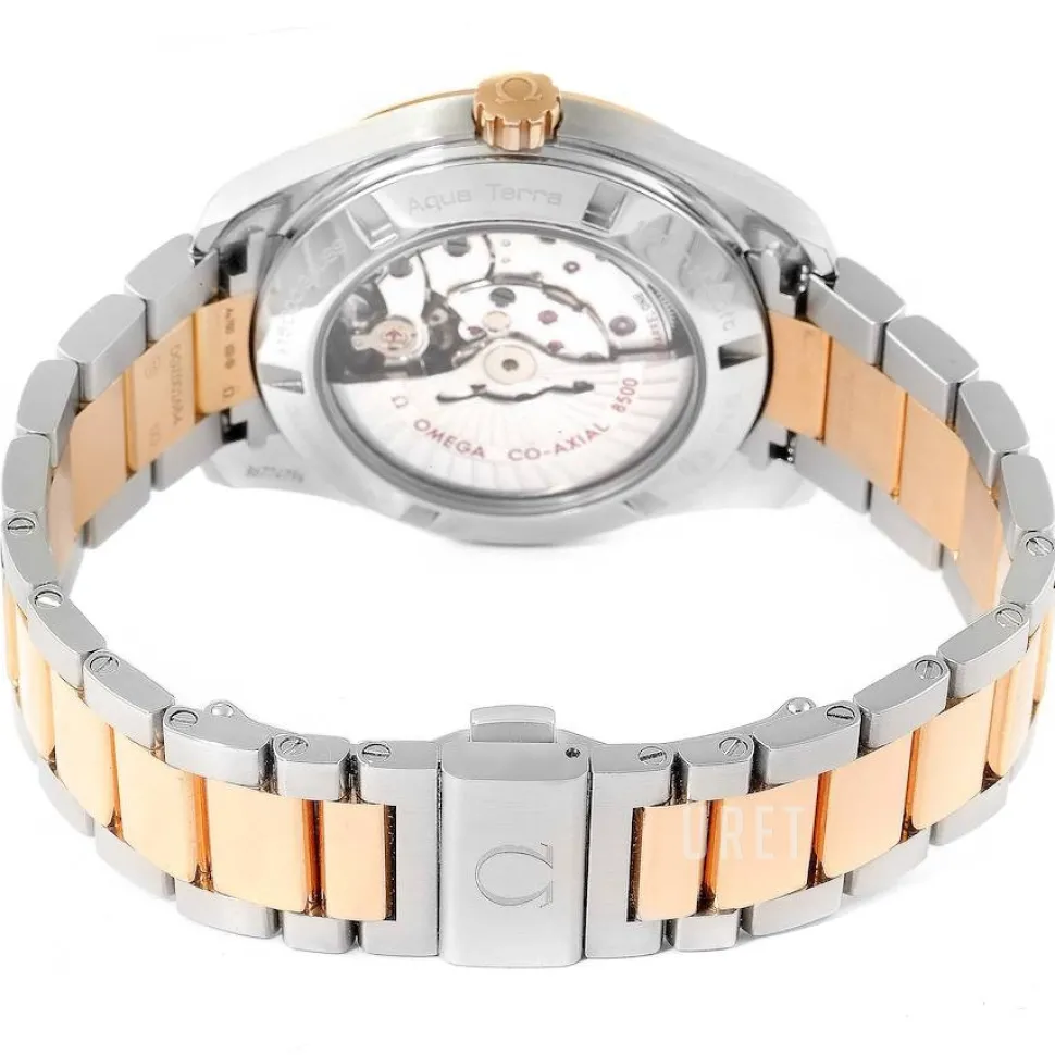 Seamaster Aqua Terra 150m Master Co-Axial 41.5mm Silverfärgad/Stål Ø41.5 mm