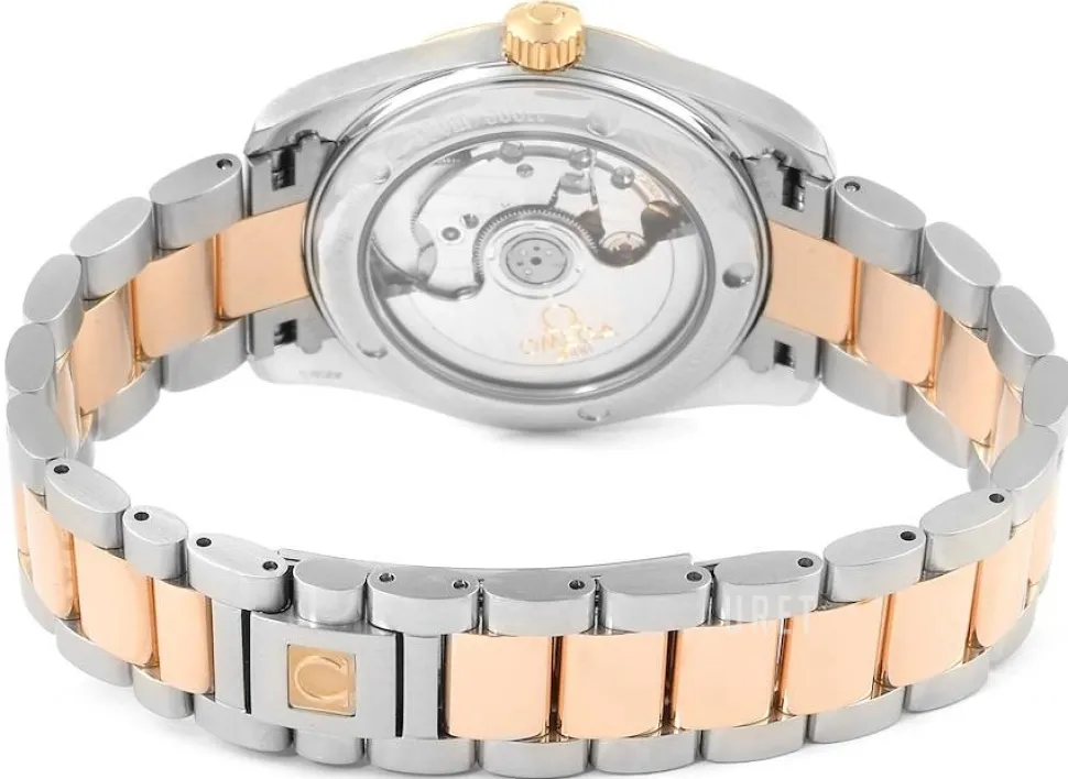 Seamaster Aqua Terra Silverfärgad/Stål Ø36 mm