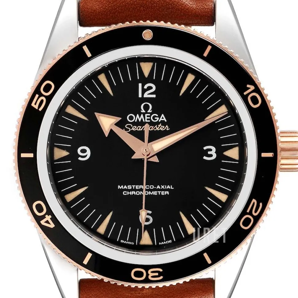 Seamaster Diver 300m Master Co-Axial 41mm Svart/Läder Ø41 mm