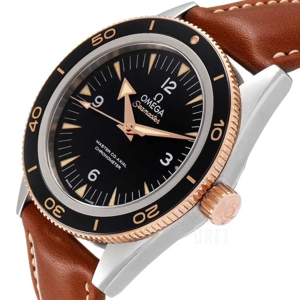 Seamaster Diver 300m Master Co-Axial 41mm Svart/Läder Ø41 mm