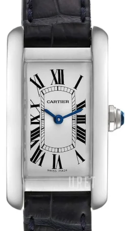 Tank Americaine Silverfärgad/Läder 34.8x19 mm