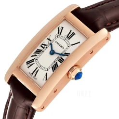 Tank Americaine Small Silverfärgad/Läder 34.8x19 mm