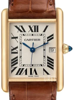 Tank Louis Silverfärgad/Läder 34x27 mm